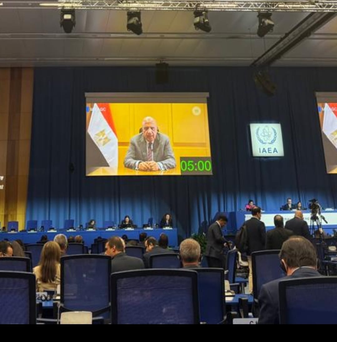 وزير الكهرباء : البرنامج النووي المصري ملتزم بأعلى معايير الأمن والأمان